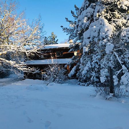Kibuvitsa Holiday House Muratsi エクステリア 写真