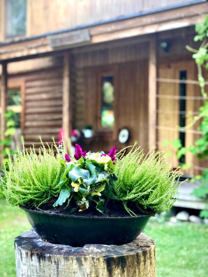 Kibuvitsa Holiday House Muratsi エクステリア 写真
